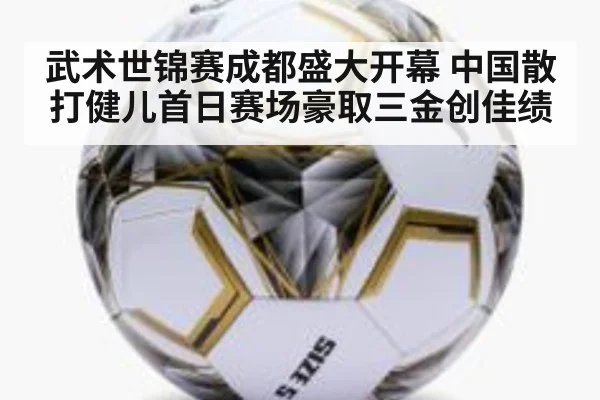 武术世锦赛成都盛大开幕 中国散打健儿首日赛场豪取三金创佳绩