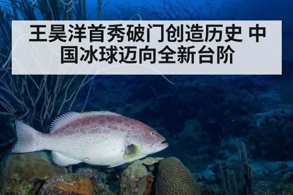 王昊洋首秀破门创造历史 中国冰球迈向全新台阶